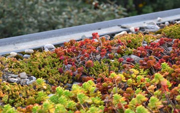 the cost of Stoke Fleming green roof installation