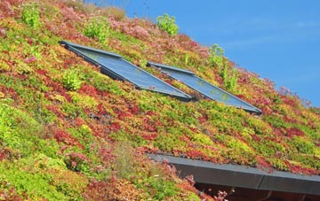 Stoke Fleming living roof systems