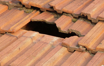 roof repair Stoke Fleming, Devon