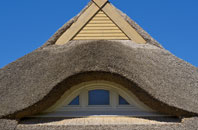 Stoke Fleming thatch roofing